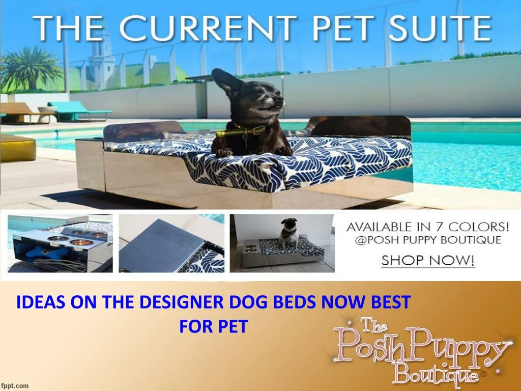 ideas on the designer dog beds now best for pet