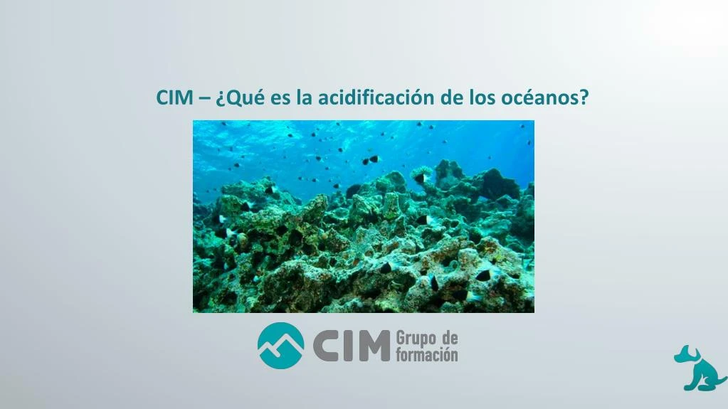 cim qu es la acidificaci n de los oc anos