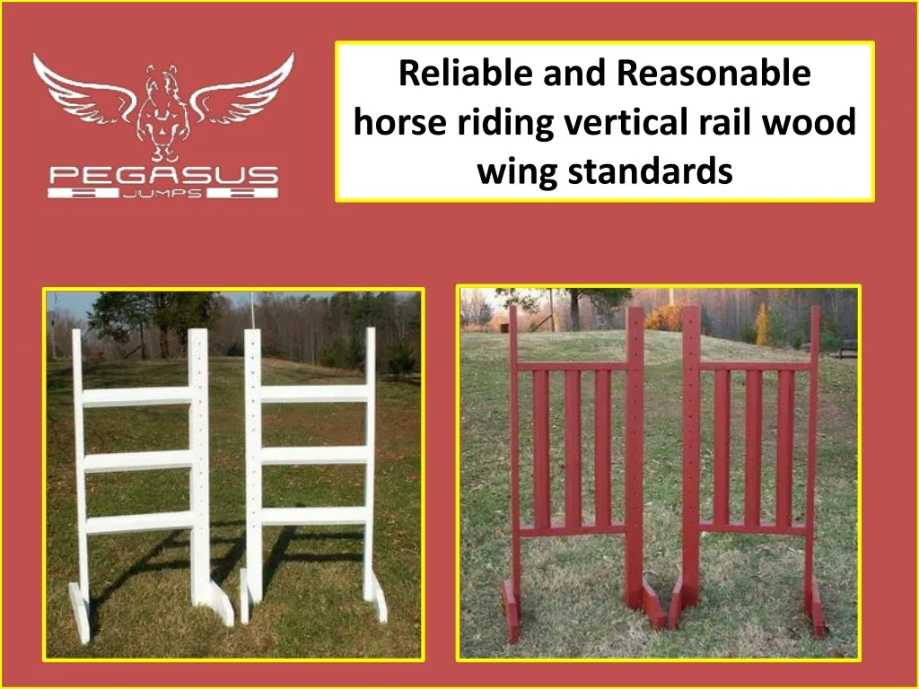 reliable and reasonable horse riding vertical