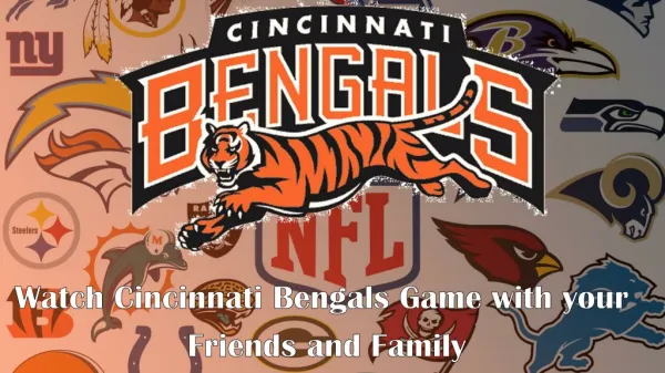 Cheap Cincinnati Bengals Tickets