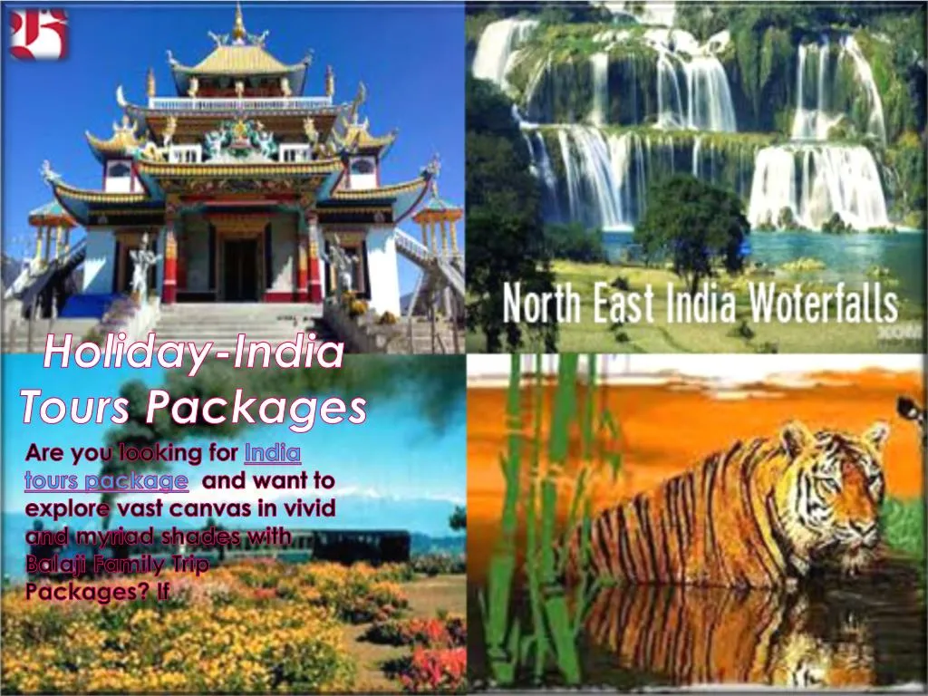 holiday india tours packages