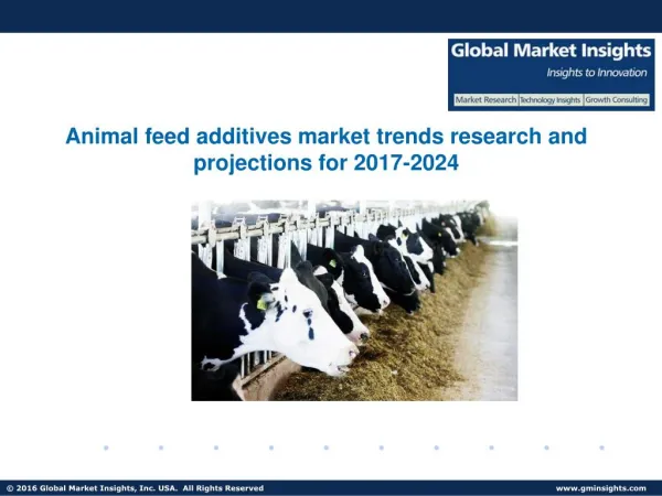 Animal feed additives market trends research and projections for 2017-2024