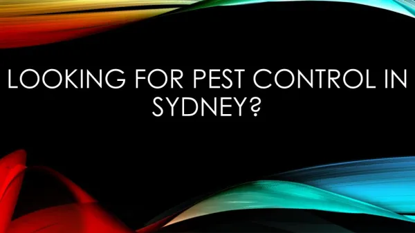 Looking for pest control in Sydney?
