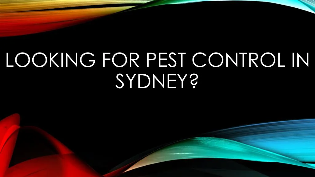 looking for pest control in sydney