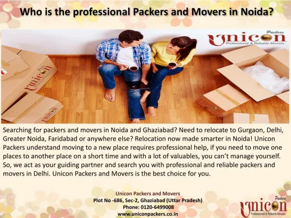 Who is the professional packers and movers in Noida?