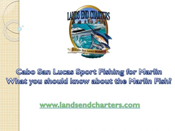 Cabo San Lucas Sport Fishing for Marlin What you should know about the Marlin Fish
