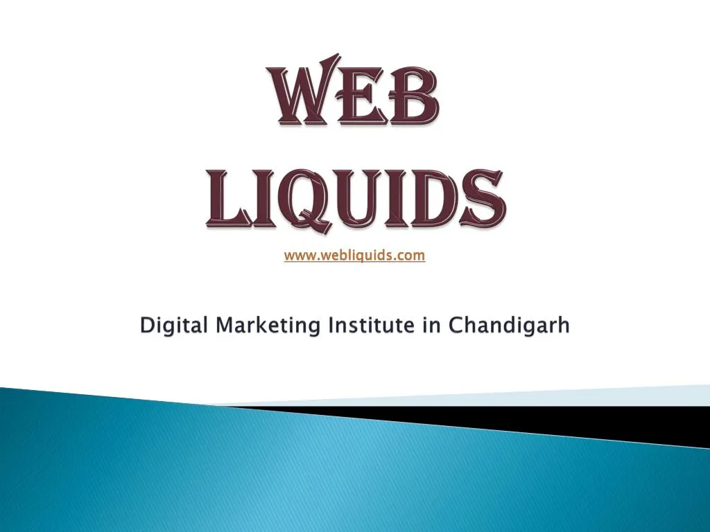 web liquids www webliquids com digital marketing institute in chandigarh