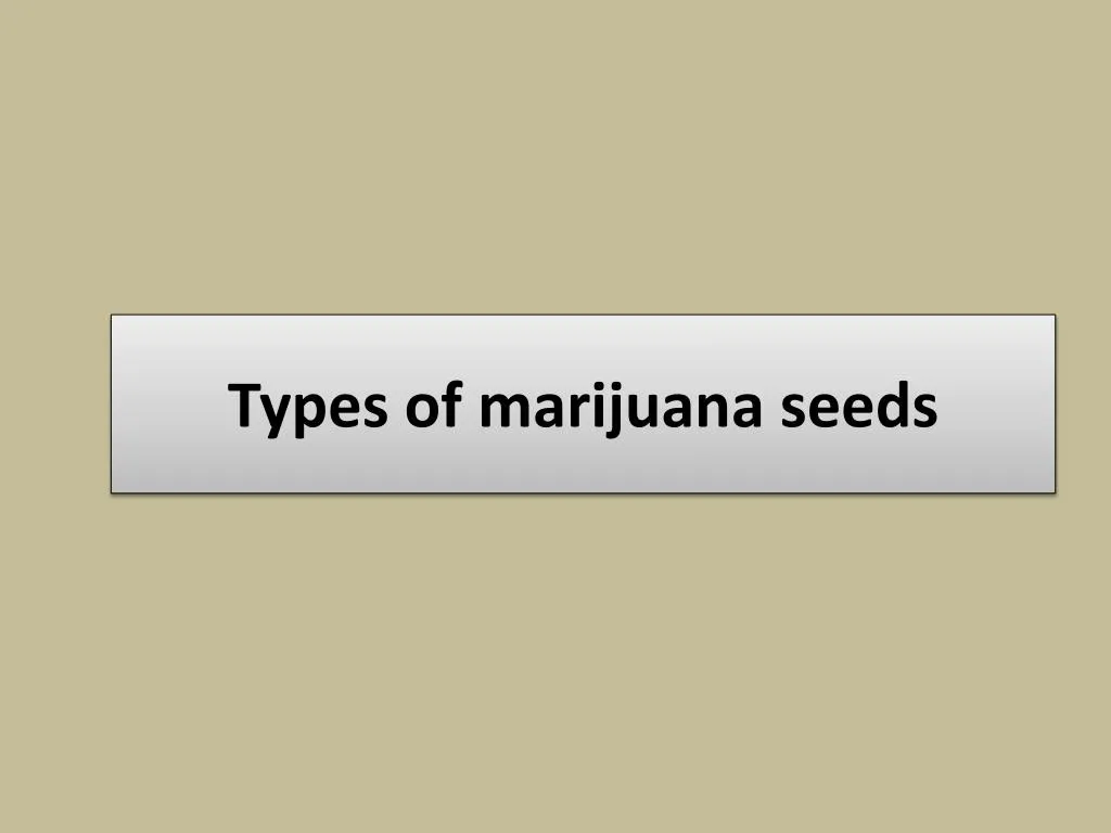 types of marijuana seeds
