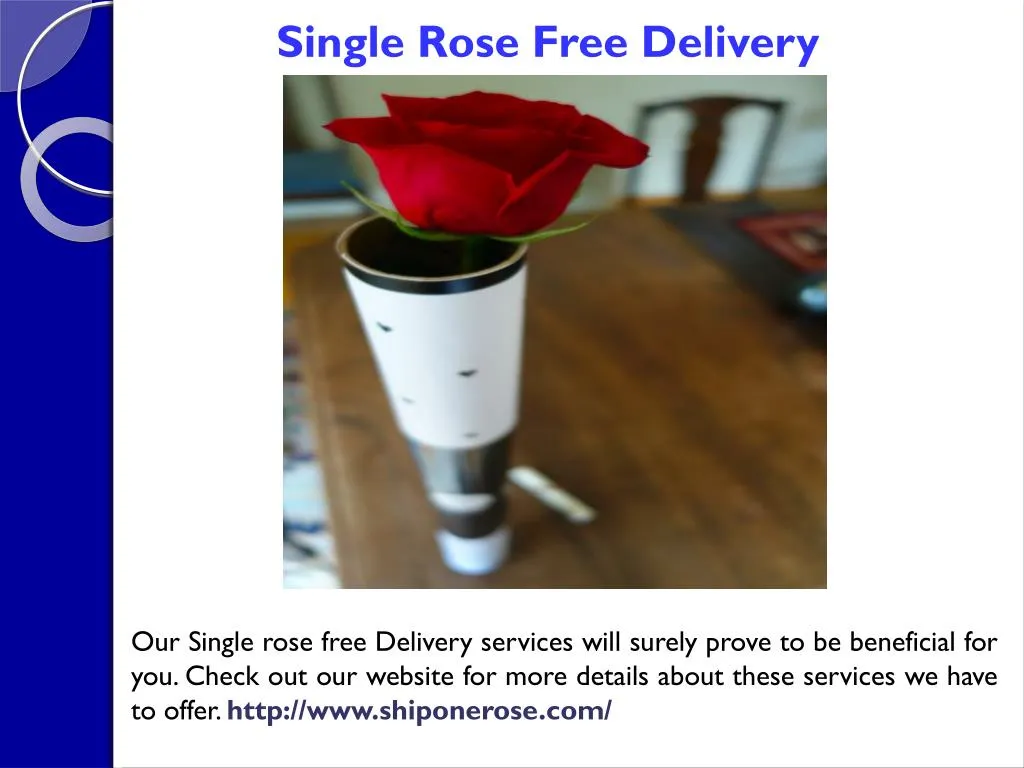 single rose free delivery