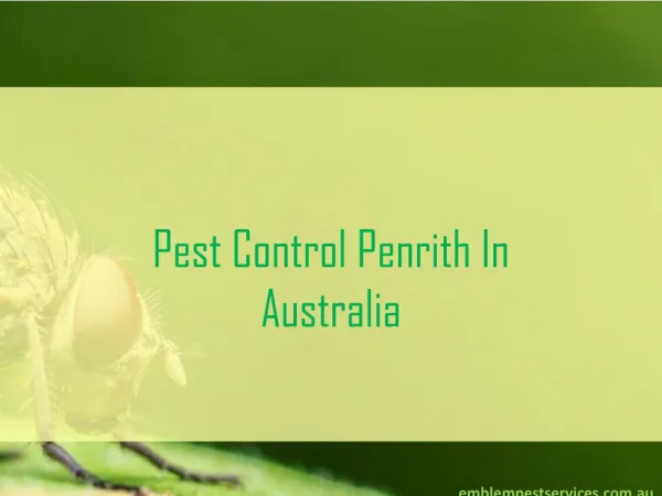 Effective Methods of Pest Control Penrith
