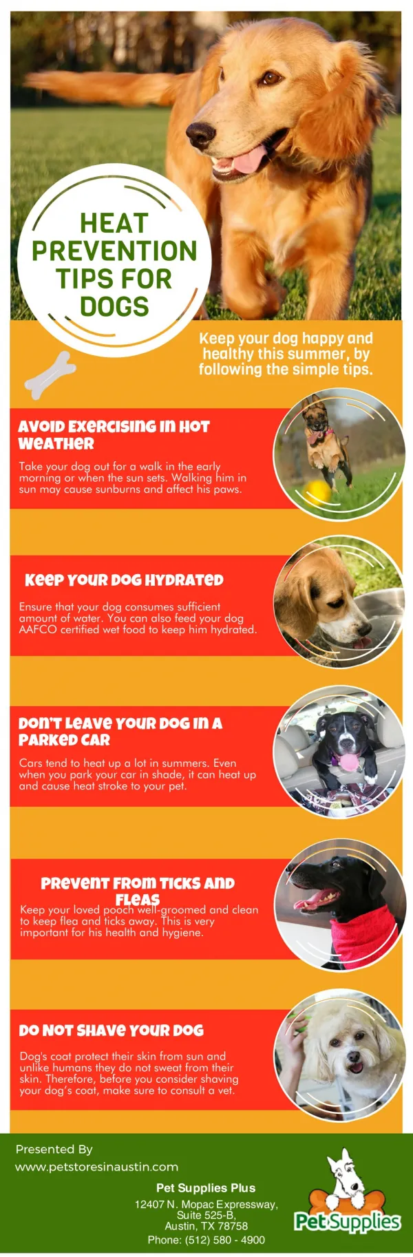 Heat Prevention Tips For Dogs