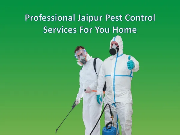 Professional Jaipur Pest Control Services For You Home