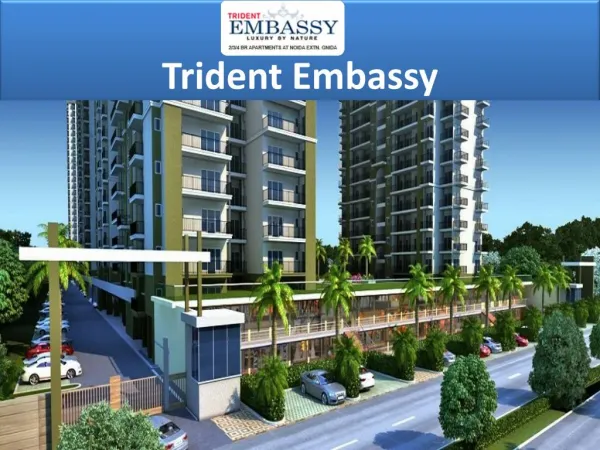 Ready to Move Flats in Noida Extension #@ 91-7838245075 @# Trident Embassy