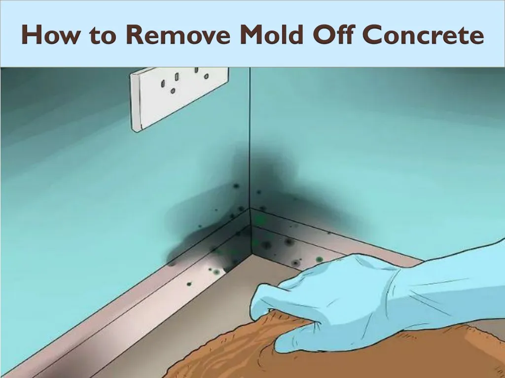 how to remove mold off concrete
