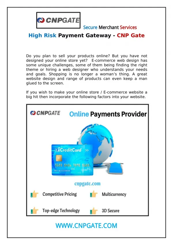 Global Leader in High Risk Payment Gateway - CNP Gate