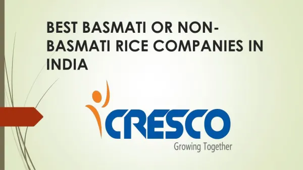 Best Basmati or Non-Basmati Rice Companies in India