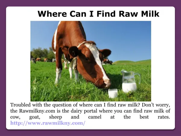 Raw Milk In Ny