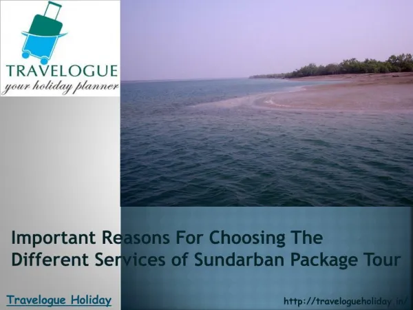 Important Reasons For Choosing The Different Services of Sundarban Package Tour