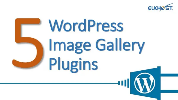 5 Best WordPress Image Gallery Plugins