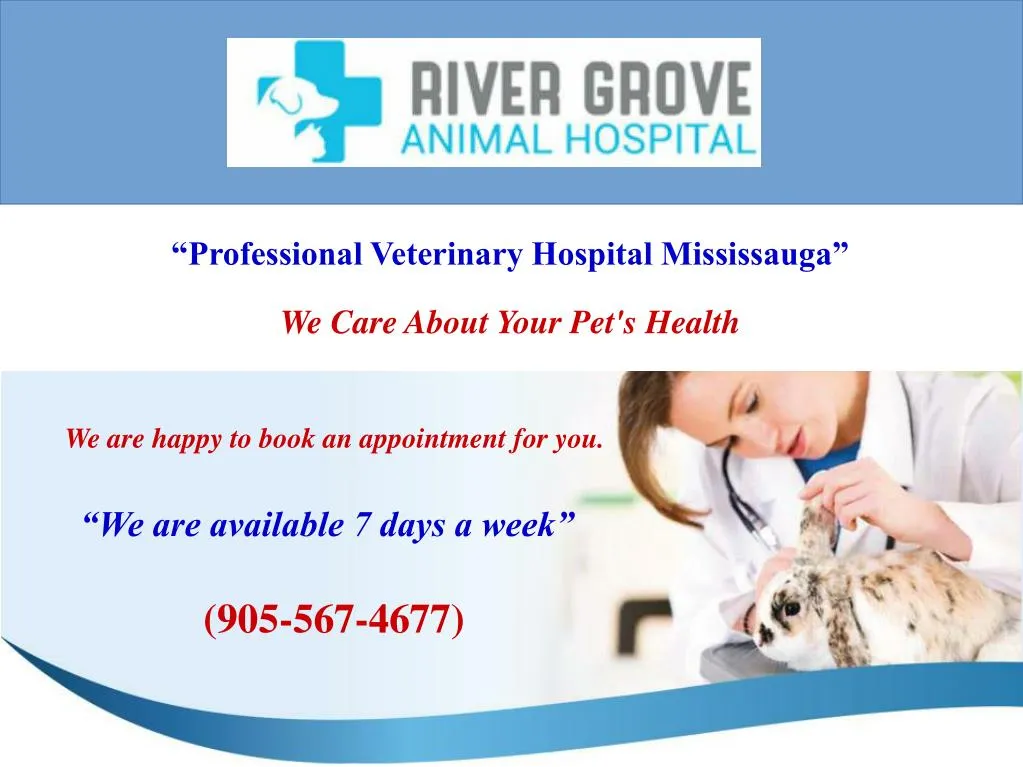 professional veterinary hospital mississauga