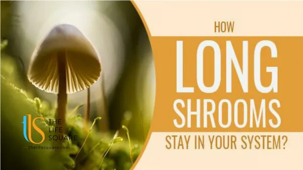 How Long Do Shrooms Stay in Your System