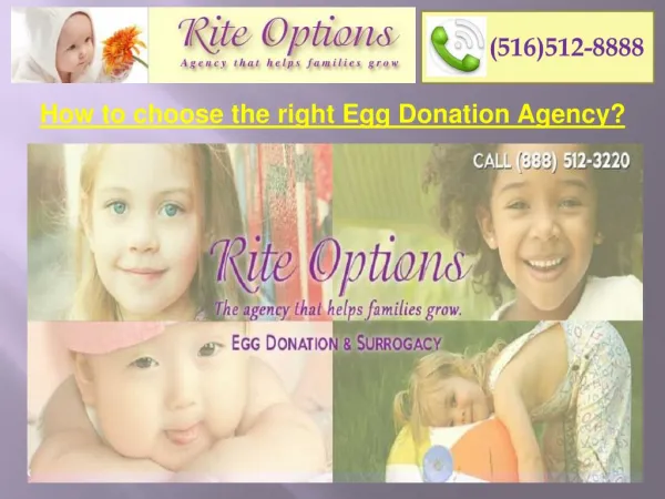 How to choose the right Egg Donation Agency
