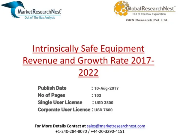 Intrinsically Safe Equipment Revenue and Growth Rate 2017-2022
