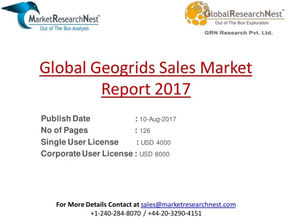 2017 to 2022 Global Geogrids Sales Market Research Analysis Report