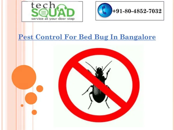 Pest Control For Bed Bug In Bangalore