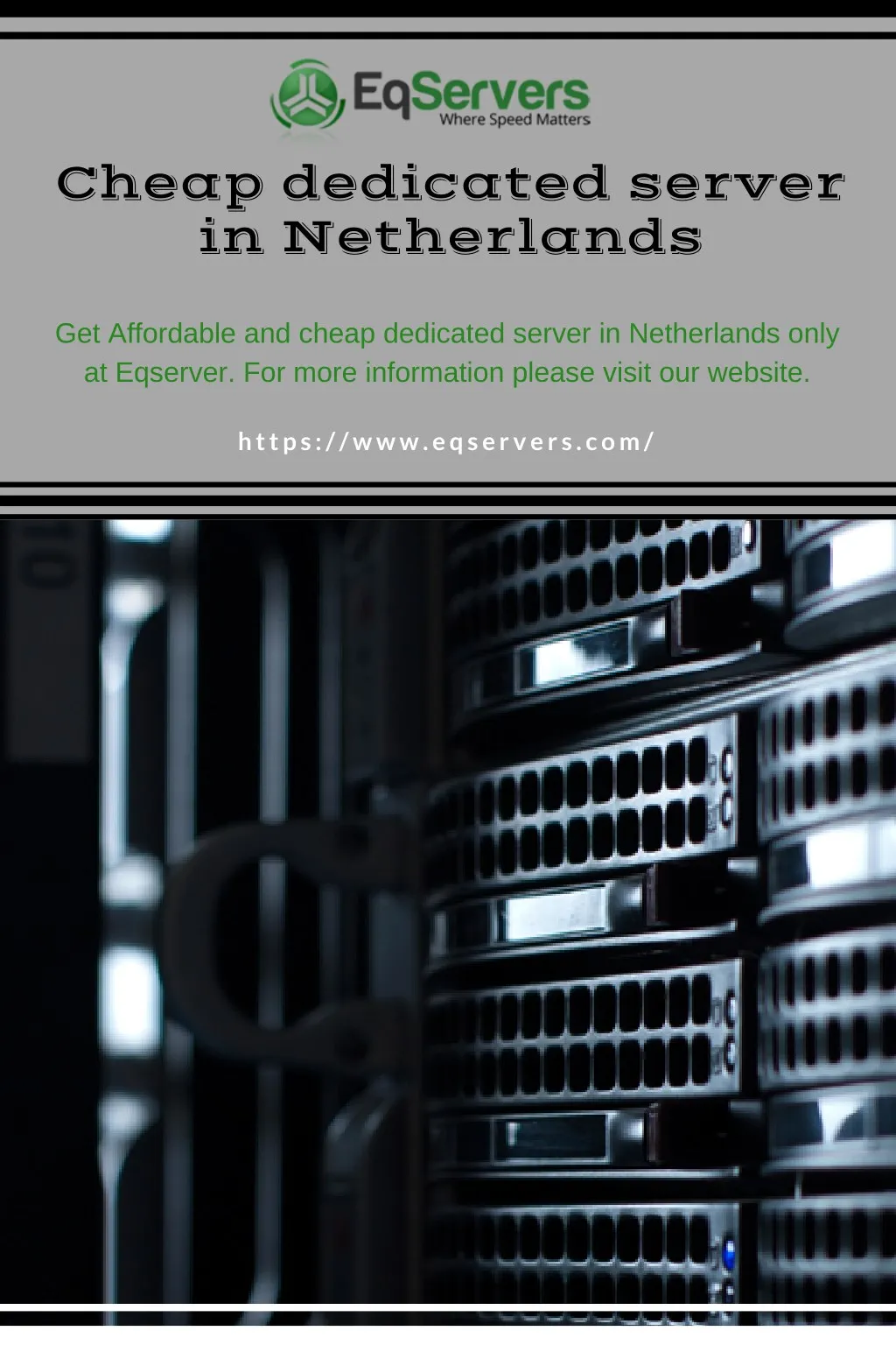 cheap dedicated server in netherlands