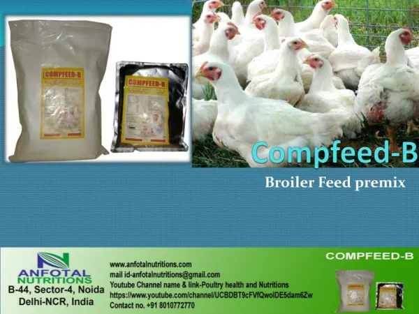Best Poultry Feed Supplement by Anfotal Nutrition's