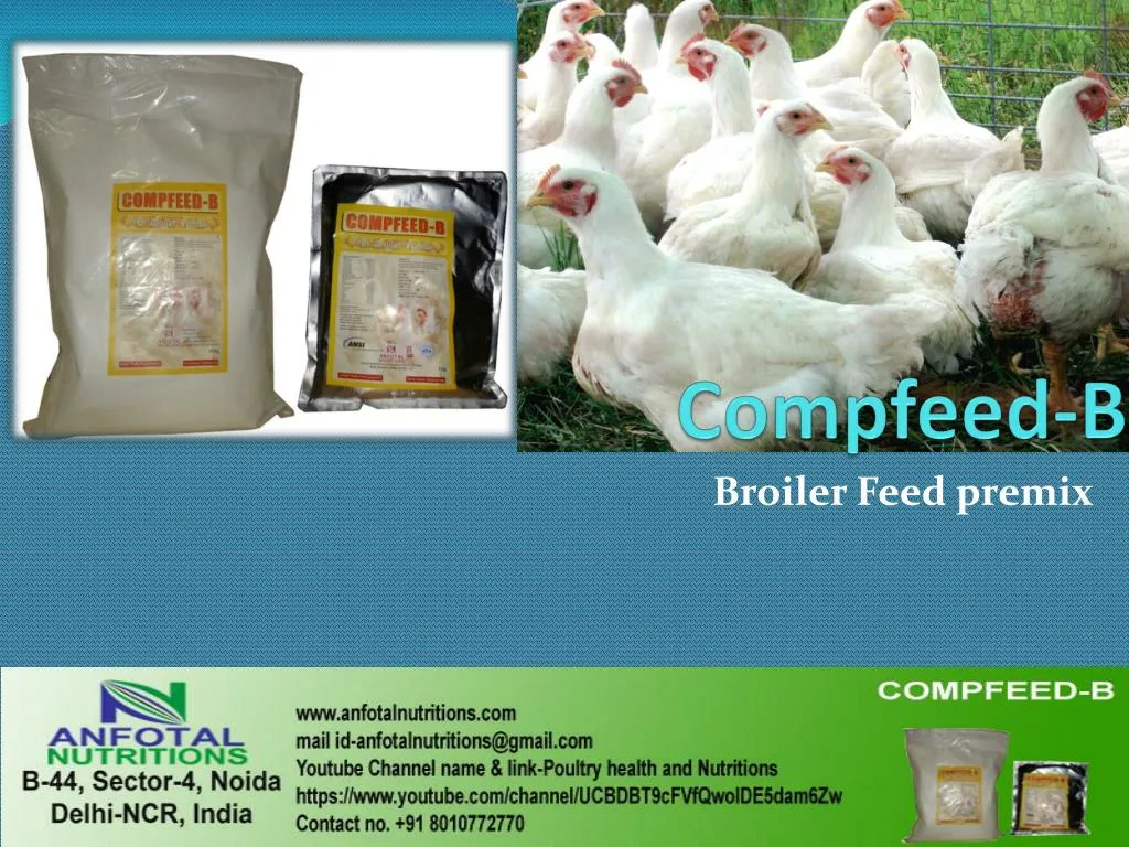 compfeed b