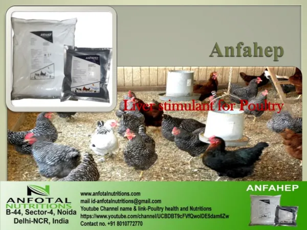 Poultry Feed Additives