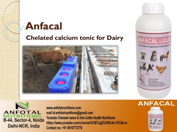 Cattle calcium supplement