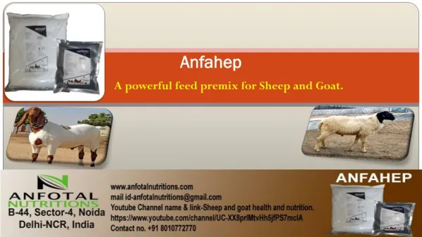 Best Feed additives by Anfotal Nutrition's