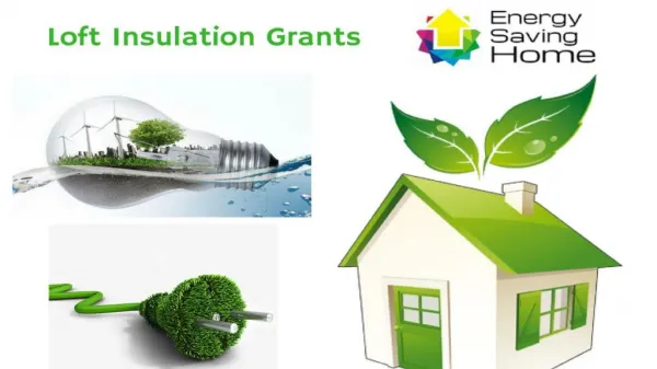 Loft Insulation Grants-Energy Saving Home