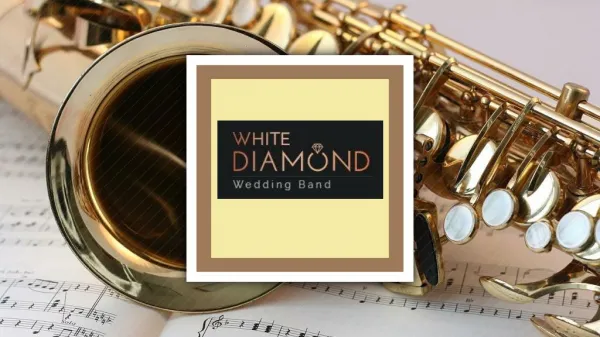 White Diamond - Wedding Bands Ireland