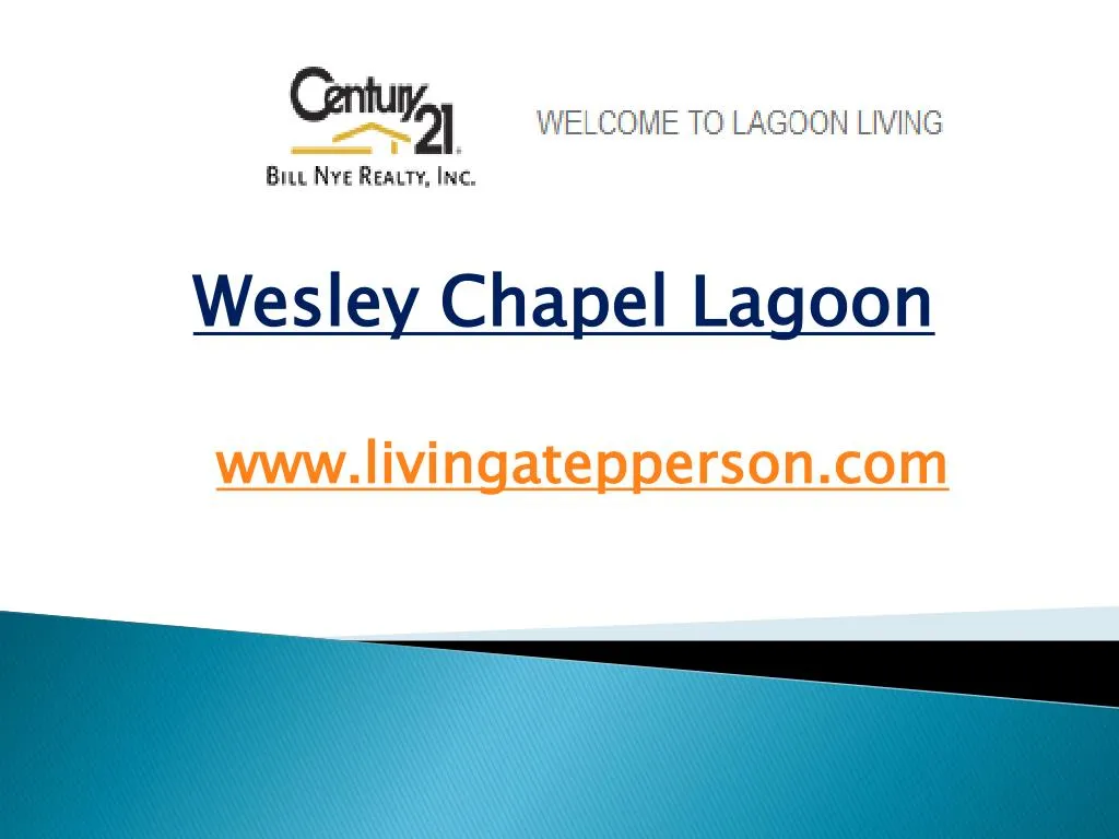 wesley chapel lagoon