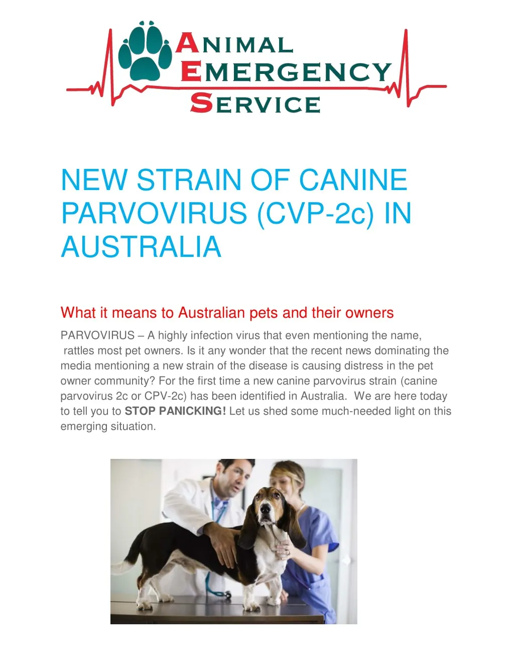 new strain of canine parvovirus