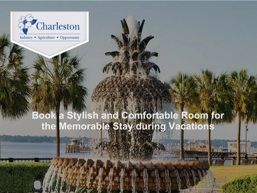 book a stylish and comfortable room