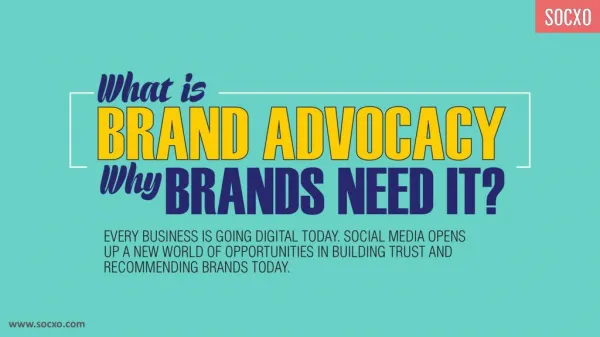 What is Brand Advocacy and why Brands Need It?