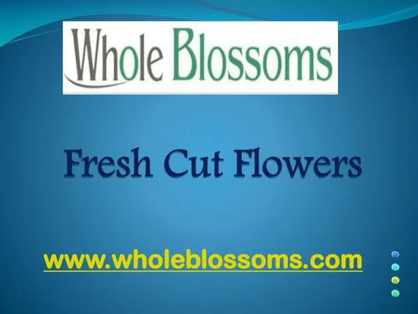 Fresh Cut Flowers - wholeblossoms