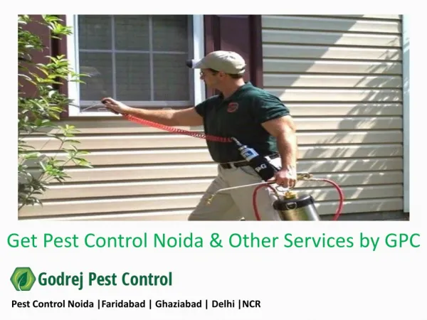 Pest Control Noida |Faridabad | Ghaziabad | Delhi |NCR