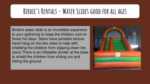 Birdie's Rentals - Water Slides good for all ages