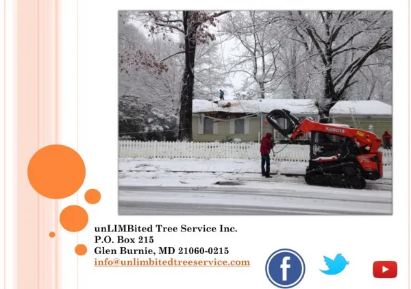 Tree Service, Storm Damage Annapolis