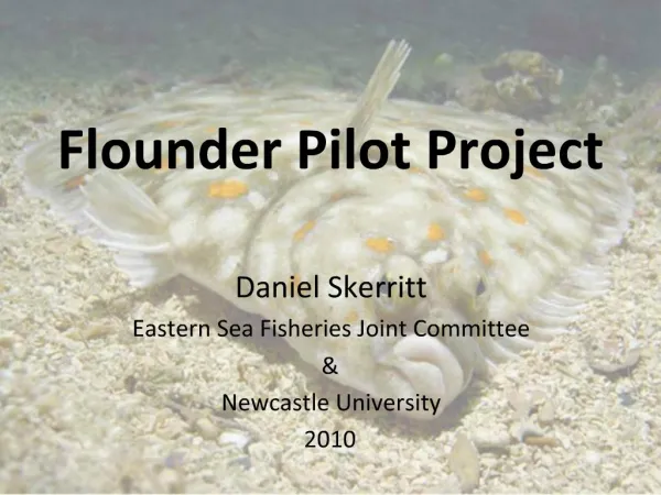 Flounder Pilot Project