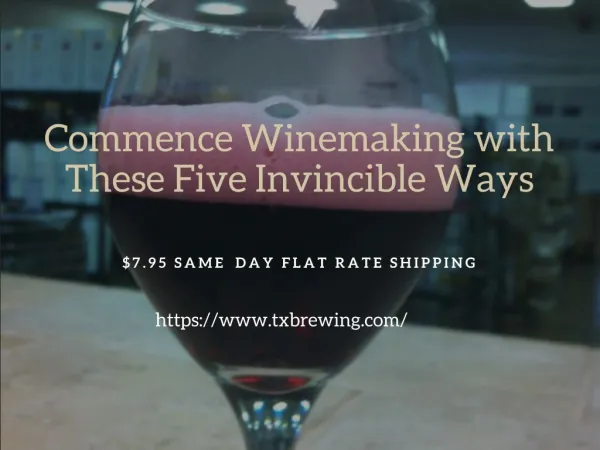 Commence Winemaking with These Five Invincible Ways