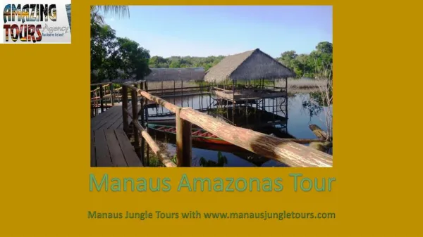 Manaus Amazonas Tour