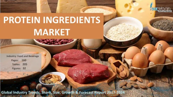 Protein Ingredients Market | Global Industry Report 2017-2024