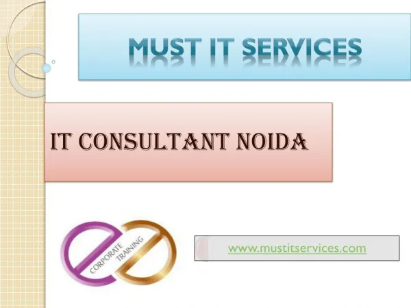 IT Consultant Services Noida